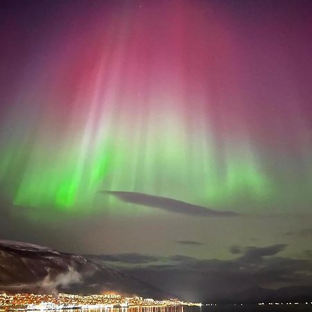 Apartamento Rom Sentralt I Tromsø Exterior foto